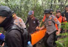 Evakuasi Dramatis di Gunung Batukaru, Tim Gabungan Temukan Pendaki Lansia yang Hilang Evakuasi Dramatis di Gunung Batukaru, Tim Gabungan Temukan Pendaki Lansia yang Hilang