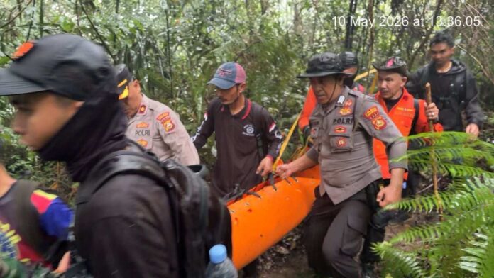 Evakuasi Dramatis di Gunung Batukaru, Tim Gabungan Temukan Pendaki Lansia yang Hilang