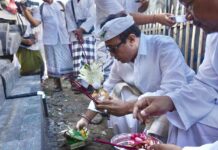 Wali Kota Jaya Negara Hadiri Nodia Upacara Melaspas Alit Pura Dalem Desa Adat Oongan Upacara Melaspas Alit