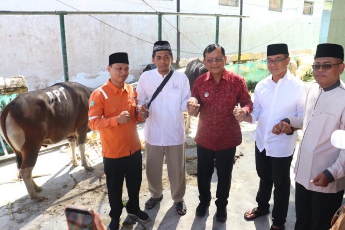 Penyaluran Hewan Kurban