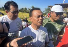 Sekretaris Daerah Provinsi Bali, Dewa Made Indra