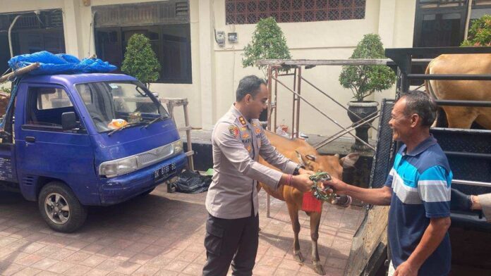 BaliPortalNews_ Curi Ternak Pencuri Ternak Berantai di Karangasem Diringkus, Polisi Ungkap Modus Pelaku