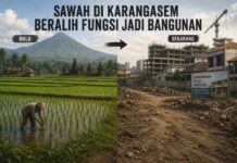440 Hektare Sawah di Karangasem Berubah Jadi Vila, Kos-kosan dan Perumahan 440 Hektare Sawah di Karangasem Berubah Jadi Vila, Kos-kosan dan Perumahan