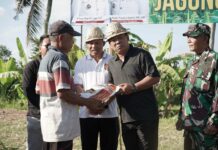 Guru Pandu Turun Langsung Tanam Jagung Hibrida Bersama Petani di Subak Balepunduk