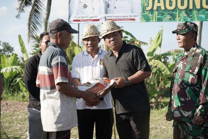 Guru Pandu Turun Langsung Tanam Jagung Hibrida Bersama Petani di Subak Balepunduk