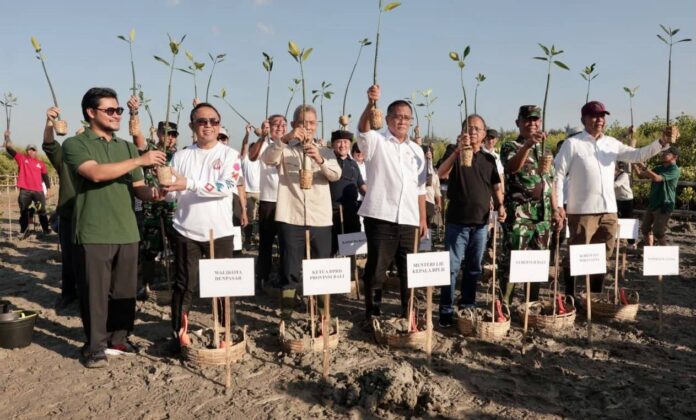 Penanaman 3.000 Pohon Mangrove
