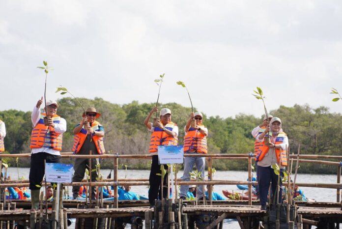 Penanaman Mangrove Bulanan