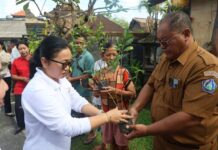 Jelang Lomba Taman Telajakan Bali 2026, Pemkot Denpasar Intensifkan Pembinaan Lokus Lomba Taman Telajakan Bali 2026