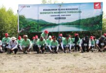 Bangun Rumah Semai Bibit Mangrove, AHM Tumbuhkan Harapan Baru bagi Pesisir Karawang Bangun Rumah Semai Bibit Mangrove, AHM Tumbuhkan Harapan Baru bagi Pesisir Karawang
