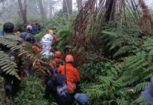 Pendaki Asal Tabanan Pingsan di Lereng Gunung Agung, Dievakuasi Tim SAR Gabungan Pendaki Asal Tabanan Pingsan di Lereng Gunung Agung, Dievakuasi Tim SAR Gabungan