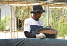 PT Astra International Tbk Perkuat Desa Sejahtera Astra Bugisan sebagai Destinasi Wisata Candi Plaosan Berbasis Budaya Pendampingan pelaku UMKM ternak lele di Desa Sejahtera Astra Bugisan.