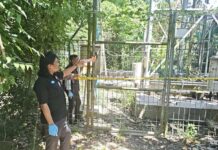 Pencuri Gondol Modul BTS di Tiga Lokasi di Karangasem Pencuri Gondol Modul BTS di Tiga Lokasi di Karangasem