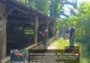Polisi saat melakukan olah TKP pencurian ternak babi di Banjar Dinas Mertasari, Desa Tinga-Tinga, Kecamatan Gerokgak, Buleleng. Sumber Foto : Istimewa