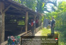 Polisi saat melakukan olah TKP pencurian ternak babi di Banjar Dinas Mertasari, Desa Tinga-Tinga, Kecamatan Gerokgak, Buleleng. Sumber Foto : Istimewa