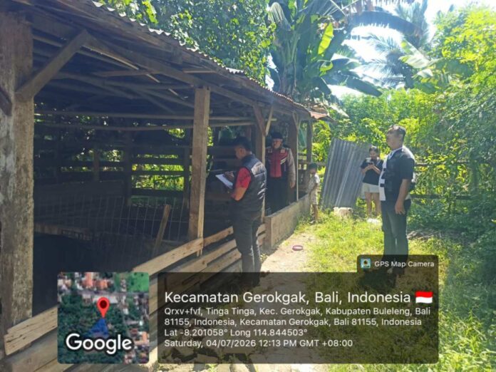 Polisi saat melakukan olah TKP pencurian ternak babi di Banjar Dinas Mertasari, Desa Tinga-Tinga, Kecamatan Gerokgak, Buleleng. Sumber Foto : Istimewa