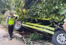 Hendak Ambil Rokok, Sopir Hilang Konsentrasi hingga Truk Nungsep ke Kebun Warga Hendak Ambil Rokok, Sopir Hilang Konsentrasi hingga Truk Nungsep ke Kebun Warga