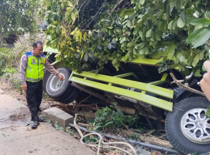 Hendak Ambil Rokok, Sopir Hilang Konsentrasi hingga Truk Nungsep ke Kebun Warga