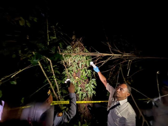 Buruh tewas _bpn Tragis, Buruh Panjat di Seraya Barat Tewas Usai Jatuh dari Pohon Lontar Setinggi 7 Meter