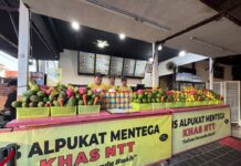 QRIS BRI Permudah Transaksi Fruit Junkies, Penjualan Jus Tembus 200 Cup per Hari QRIS BRI Dongkrak Penjualan Fruit Junkies, Transaksi Digital Tembus Rp2 Juta per Hari