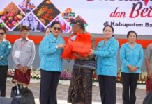 Putri Koster Dorong Pasar Rakyat sebagai Penggerak Ekonomi dan Perubahan Perilaku Pasar Rakyat