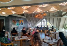 ZIN Canggu Hadirkan Pameran ROOTED, Padukan Bonsai dan Seni Kontemporer