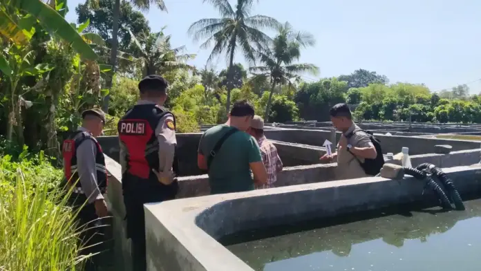 Proses olah TKP tenggelamnya dua orang anak di tambak warga Desa Banyupoh, Kecamatan Gerokgak, Buleleng. Sumber Foto : Istimewa